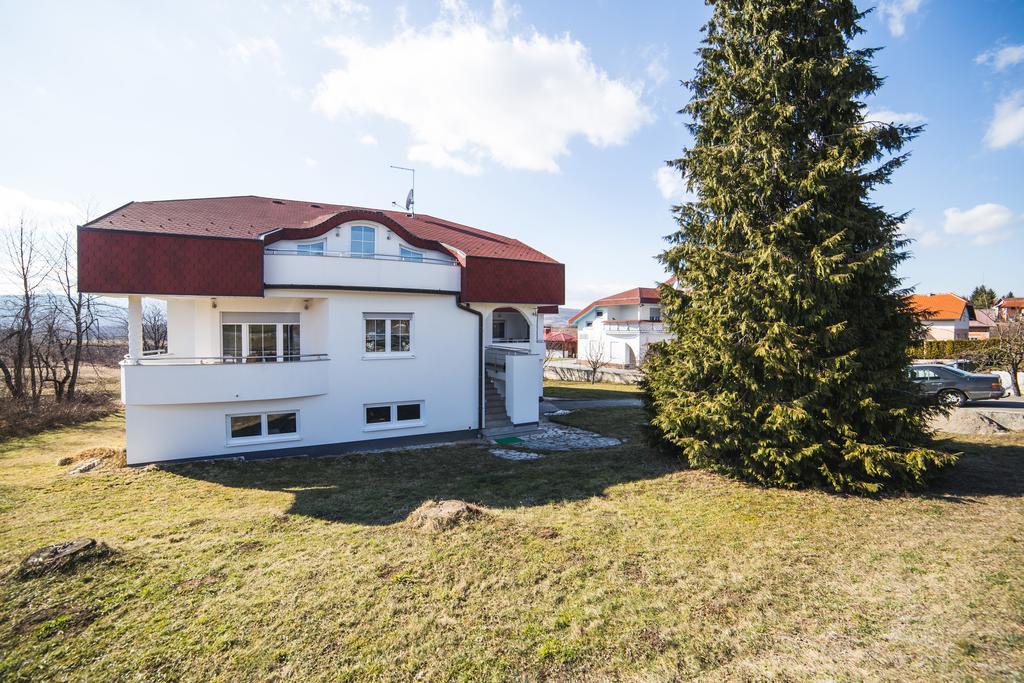 Guest House Melody Drežnik Grad Eksteriør billede